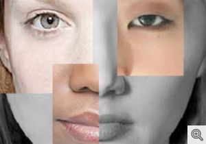 images understanding-race-project-lead-2012-12-19